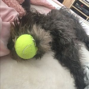 Meet your Posher, Caitlin